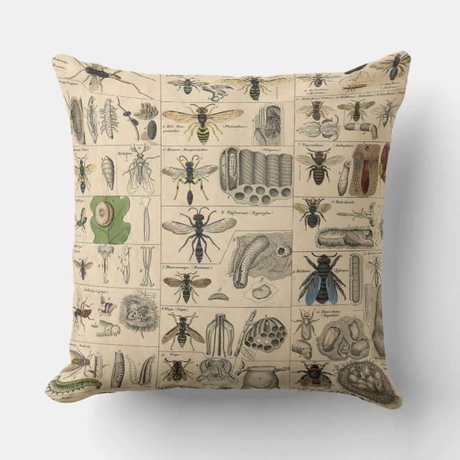 ハチ虫の虫のハチ自然自然ビー絵画ズ アウトドアクッション (正面)