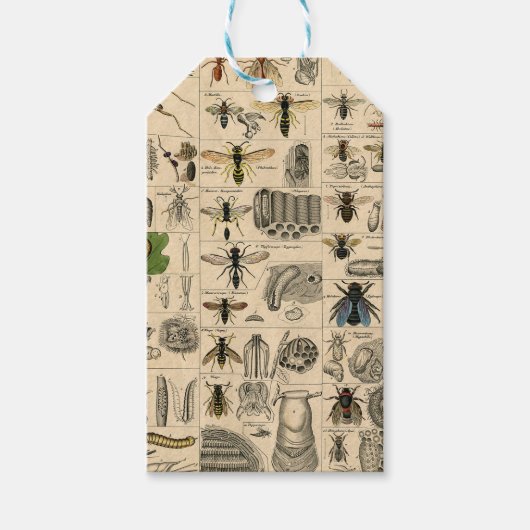 ハチ虫の虫のハチ自然自然ビー絵画ズ ギフトタグ (正面)