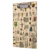 ハチ虫の虫のハチ自然自然ビー絵画ズ クリップボード (左)