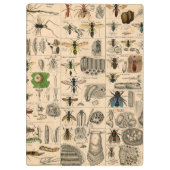 ハチ虫の虫のハチ自然自然ビー絵画ズ クリップボード (裏面)