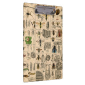 ハチ虫の虫のハチ自然自然ビー絵画ズ クリップボード (右)