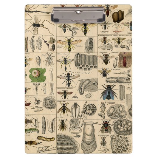 ハチ虫の虫のハチ自然自然ビー絵画ズ クリップボード (正面)