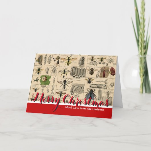 ハチ虫の虫のハチ自然自然ビー絵画ズ シーズンカード (正面)