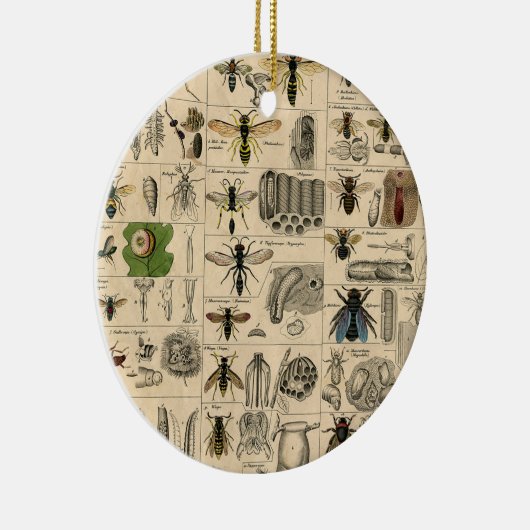 ハチ虫の虫のハチ自然自然ビー絵画ズ セラミックオーナメント (右)