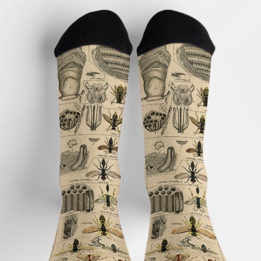 ハチ虫の虫のハチ自然自然ビー絵画ズ ソックス (上部)