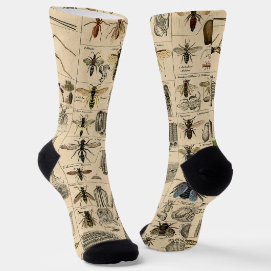 ハチ虫の虫のハチ自然自然ビー絵画ズ ソックス (傾斜あり)