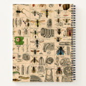 ハチ虫の虫のハチ自然自然ビー絵画ズ ノートブック (裏面)