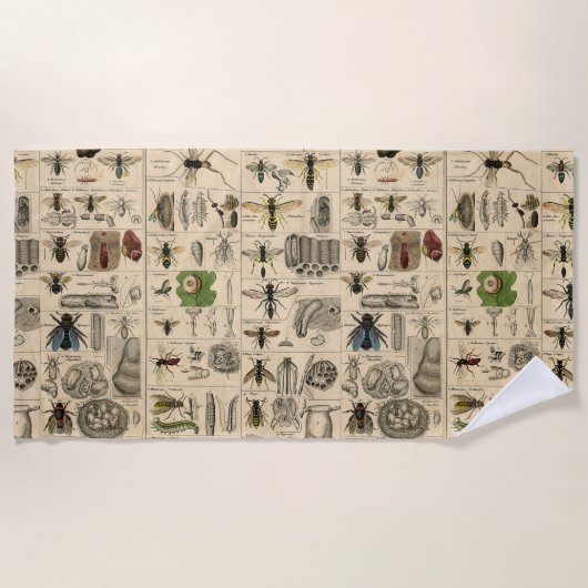 ハチ虫の虫のハチ自然自然ビー絵画ズ ビーチタオル (正面)