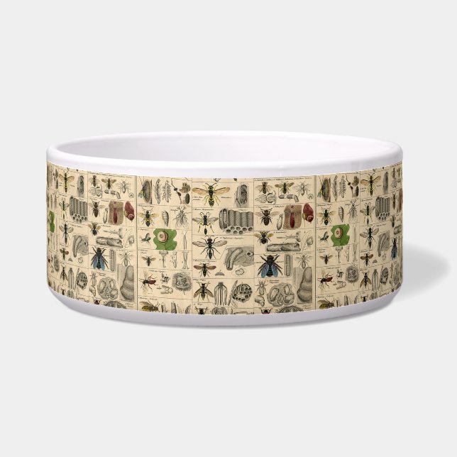 ハチ虫の虫のハチ自然自然ビー絵画ズ ボウル (正面)