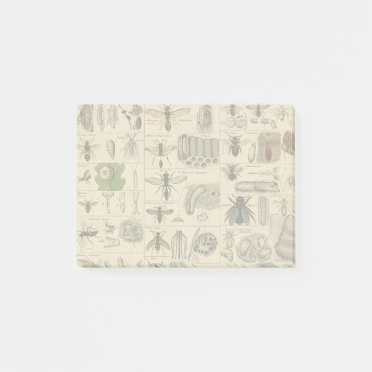 ハチ虫の虫のハチ自然自然ビー絵画ズ ポストイット (正面)