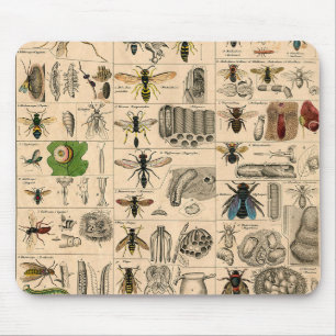 ハチ虫の虫のハチ自然自然ビー絵画ズ マウスパッド