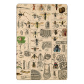 ハチ虫の虫のハチ自然自然ビー絵画ズ ミニクリップボード (裏面)