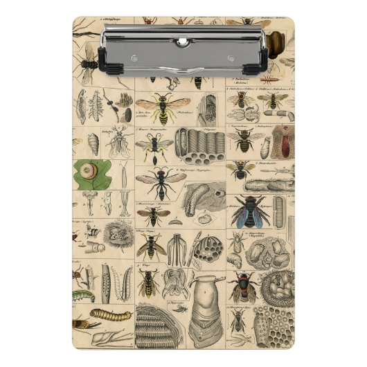 ハチ虫の虫のハチ自然自然ビー絵画ズ ミニクリップボード (正面)