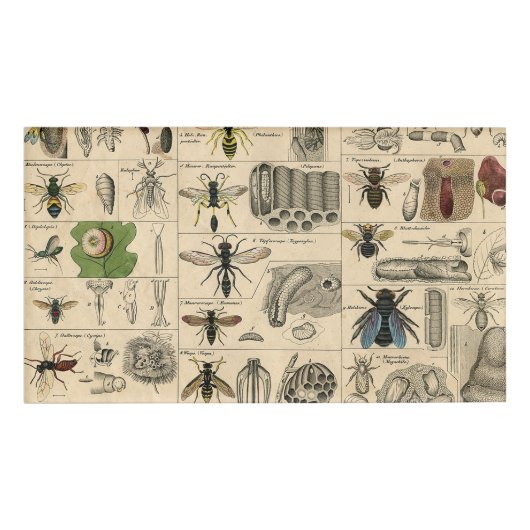 ハチ虫の虫のハチ自然自然ビー絵画ズ 名札 (正面)