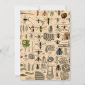 ハチ虫の虫のハチ自然自然ビー絵画ズ 招待状 (裏面)