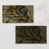 ハチ 名刺 (正面/裏面)