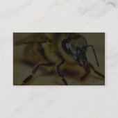 ハチ 名刺 (裏面)