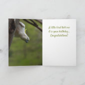 ハッおもしろいドバードデイ誕生日コカットオオーストラリア カード (内部)