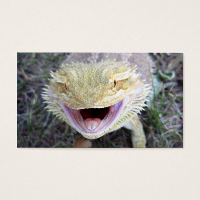ハッすごいピー・ヒゲ・ドラゴン (正面)