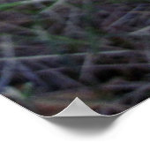 ハッすごいピー・ヒゲ・ドラゴン ポスター (角)