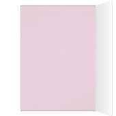 ハッイタリアンプマザーの日フィアット500 (内側 (左))