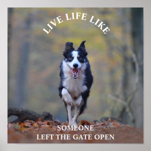 ハッインスパイアプやる気を起こさせるドッグとの生活引用文 ポスター (正面)