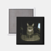 ハッカー猫のミーム 楽しいコンピューター猫 子猫 ゲーマー猫 マグネット (正面/裏面)