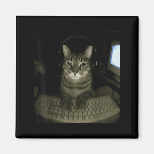 ハッカー猫のミーム 楽しいコンピューター猫 子猫 ゲーマー猫 マグネット (正面)