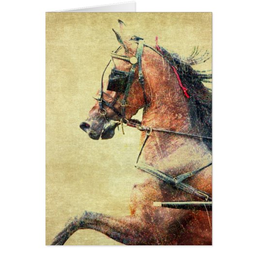 ハックニーポニー (正面)