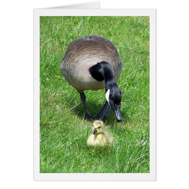 ハッスル (正面)