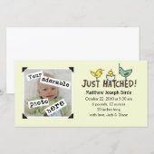 ハッチだ！ベビー発表 案内状 (正面/裏面)