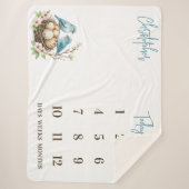 ハッチの準備!かわいい鳥のベビーマイルストーン シェルパブランケット (正面)