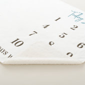 ハッチの準備!かわいい鳥のベビーマイルストーン シェルパブランケット (3/4)