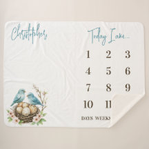 ハッチの準備！かわいい鳥のベビーマイルストーン