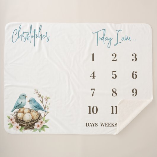 ハッチの準備!かわいい鳥のベビーマイルストーン シェルパブランケット (正面(横))