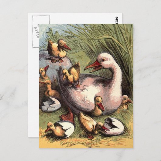ハッチドヴィンテージイメージのアヒル ポストカード (正面/裏面)