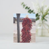 ハッチニューメキシコの赤いホットチリペッパー ポストカード (スタンド正面)