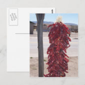 ハッチニューメキシコの赤いホットチリペッパー ポストカード (正面/裏面)