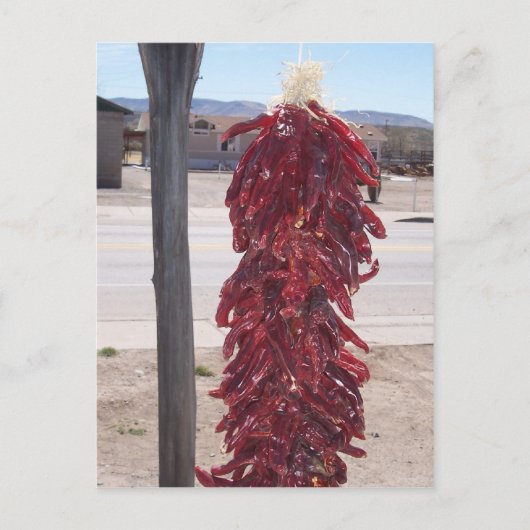ハッチニューメキシコの赤いホットチリペッパー ポストカード (正面)