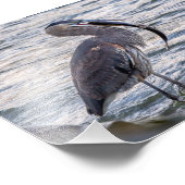 ハッチブルー素晴らしヘロンを下る フォトプリント            (角)