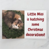 ハッチングデコレーションのミス カード (内部)