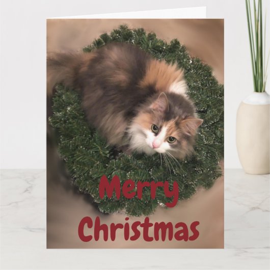 ハッチングデコレーションのミス カード (正面)