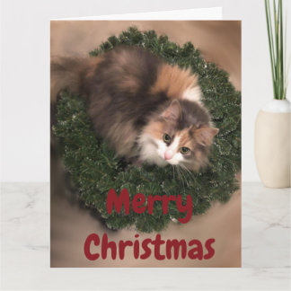 ハッチングデコレーションのミス カード