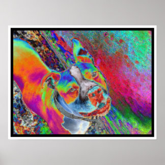 ハッチII ポスター