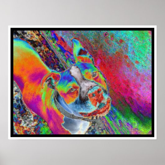 ハッチII ポスター (正面)