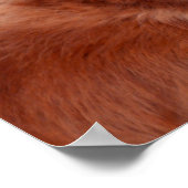 ハットに微笑むゴールデンレトリバー ポスター (角)