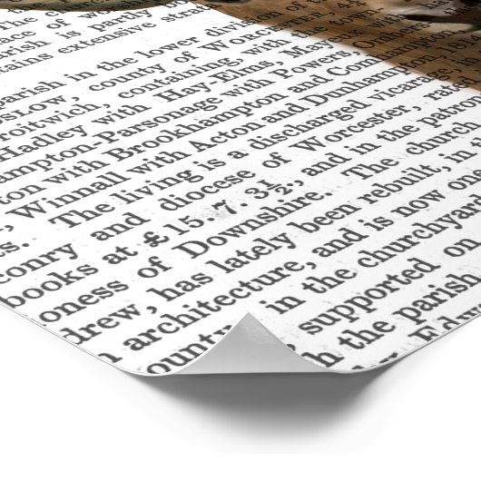 ハットコレクターシカ ポスター (角)