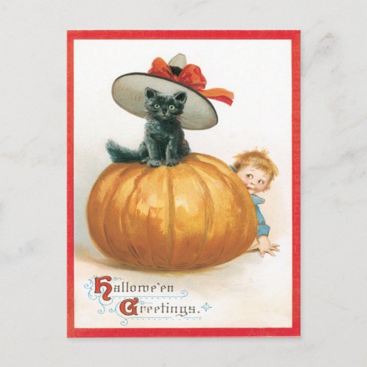 ハットハガキのかわいい猫ヴィンテージ ポストカード (正面)
