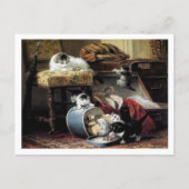 ハットボックスアンリエテロナーナイフ葉書 ポストカード (正面)