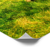 ハット ポスター (角)